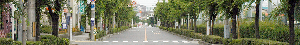マルグラス周辺若園公園の画像
